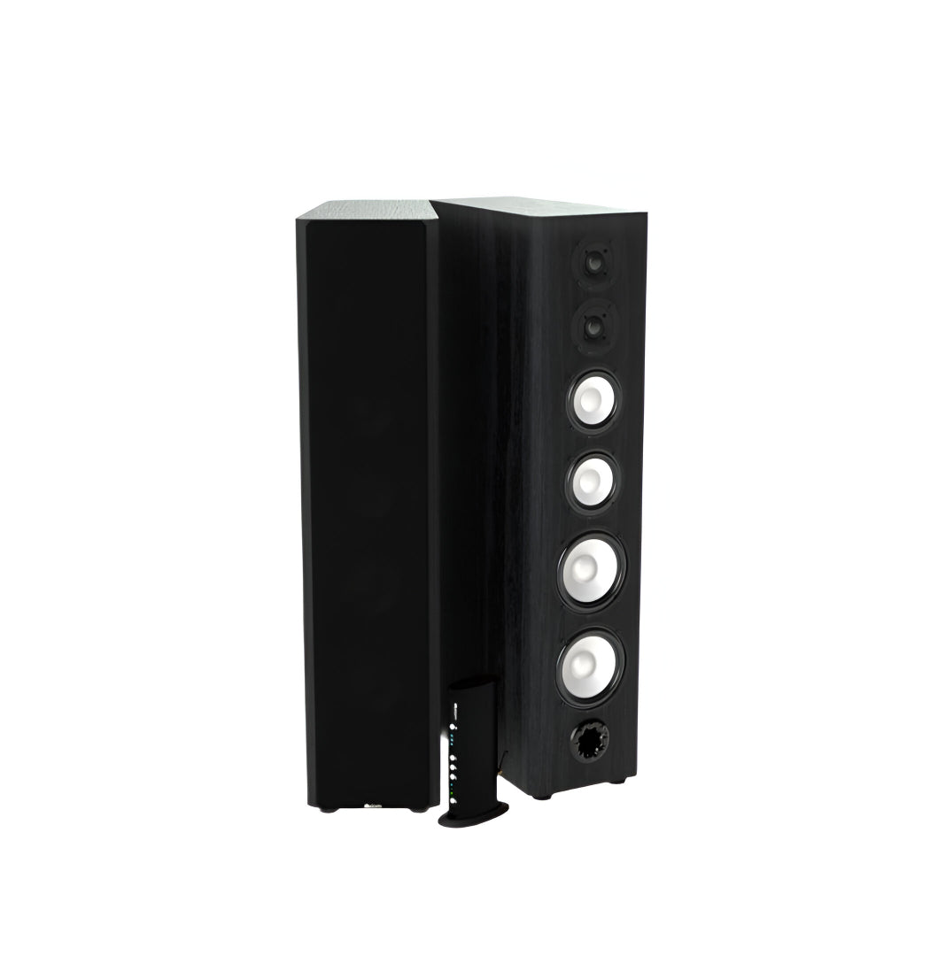 Axiom M80 Floorstanding Speakers