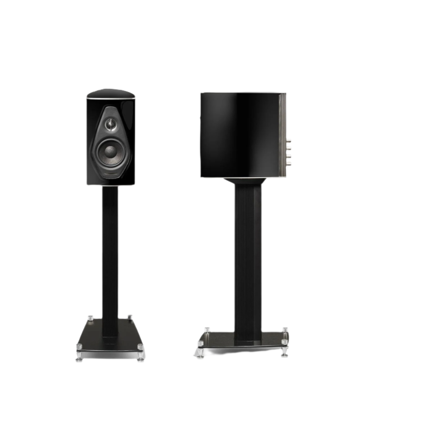 Sonus Faber Olympica Nova I