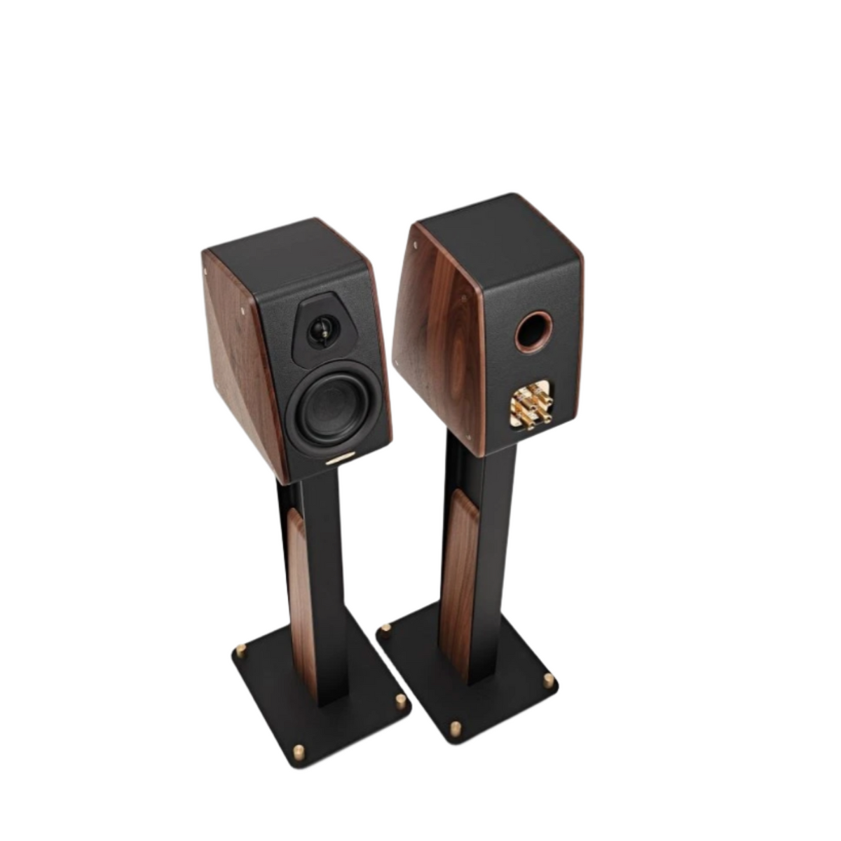 Sonus Faber Concertino G4 Standard Edition Iron Stand