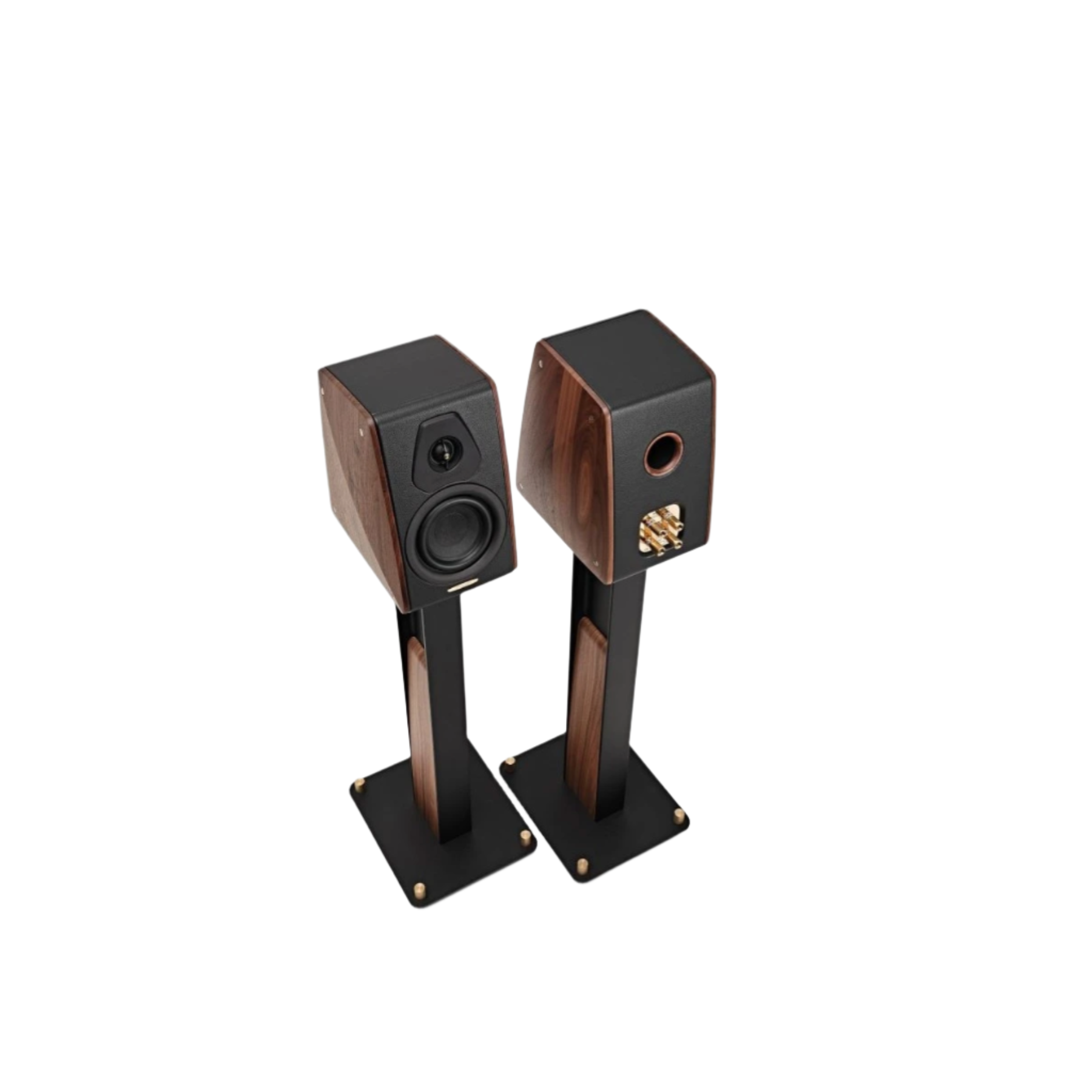 Sonus Faber Concertino G4 Standard Edition Iron Stand