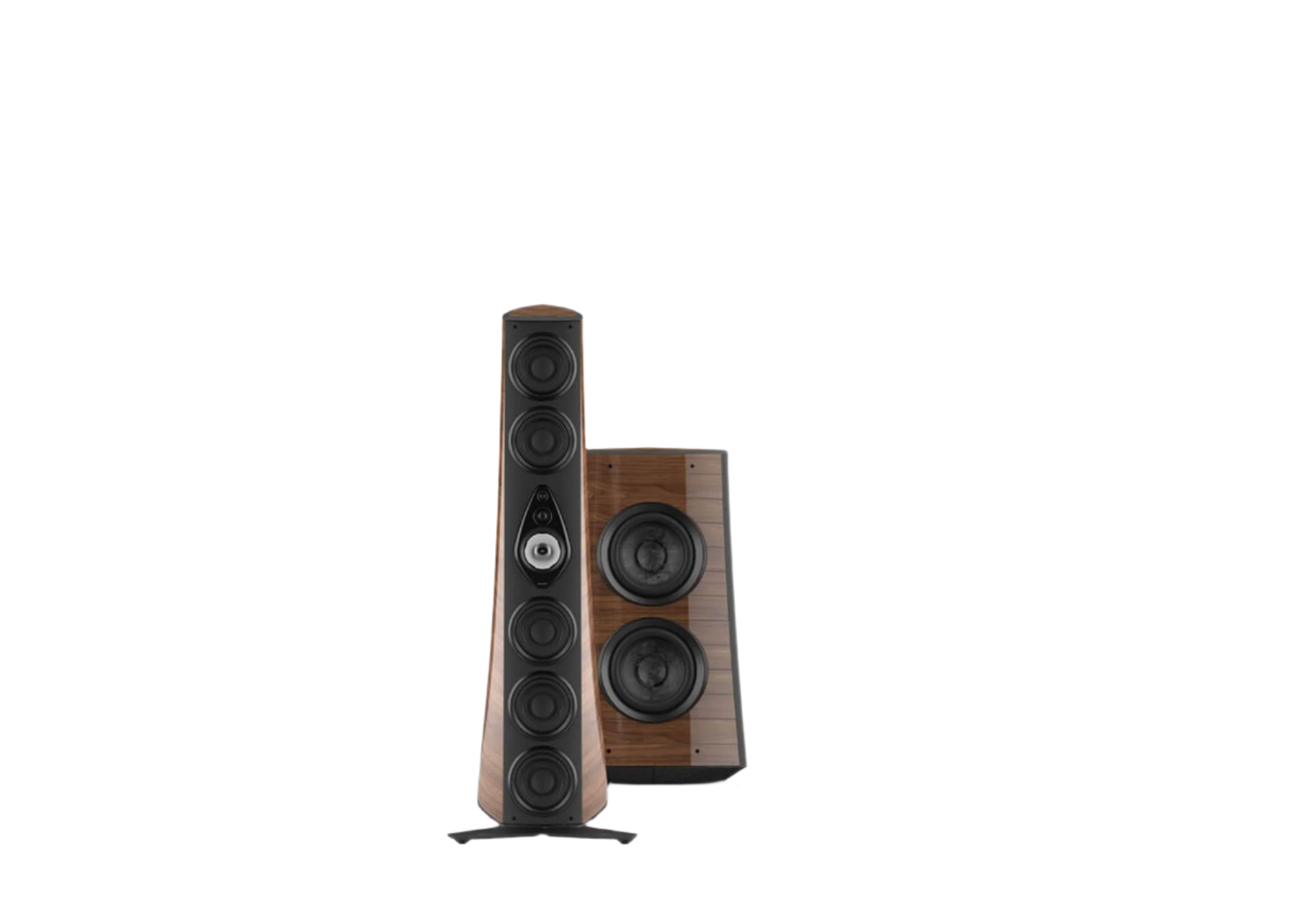 Sonus Faber Suprema Subwoofer And Electronic Crossover