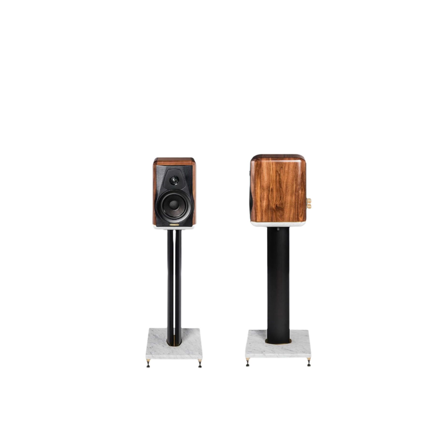 Sonus Faber Electa Amator III