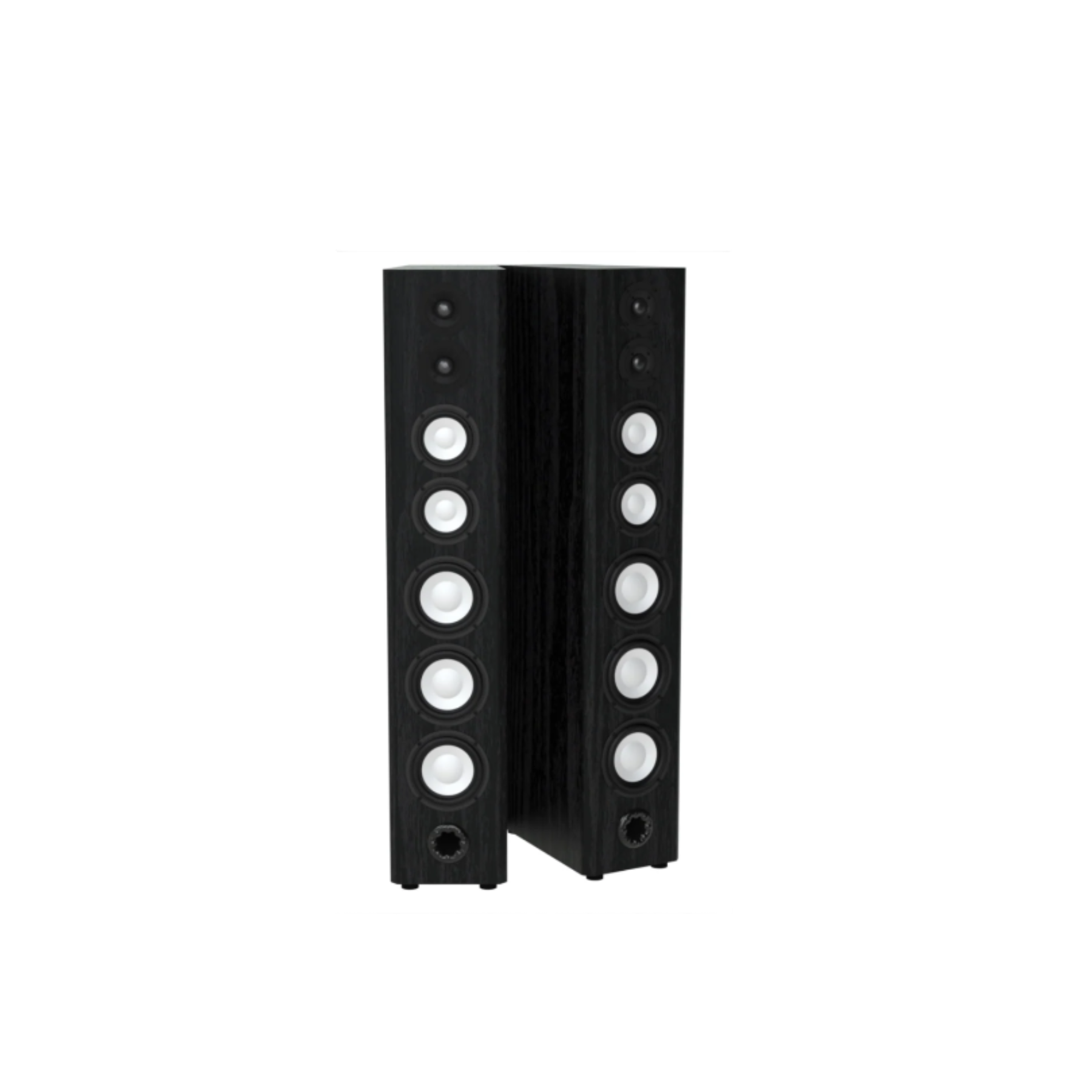 Axiom LFR1100HP Active Omnidirectional Speakers