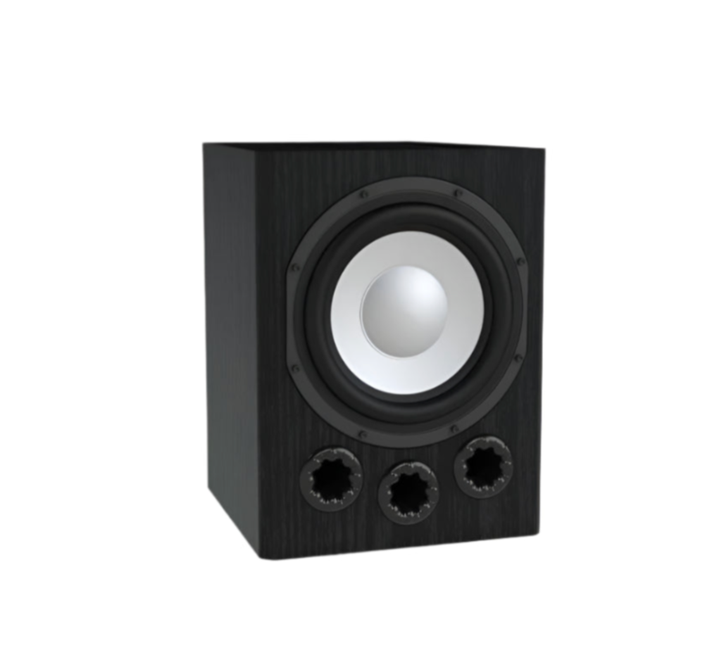 Axiom EP350 Subwoofer