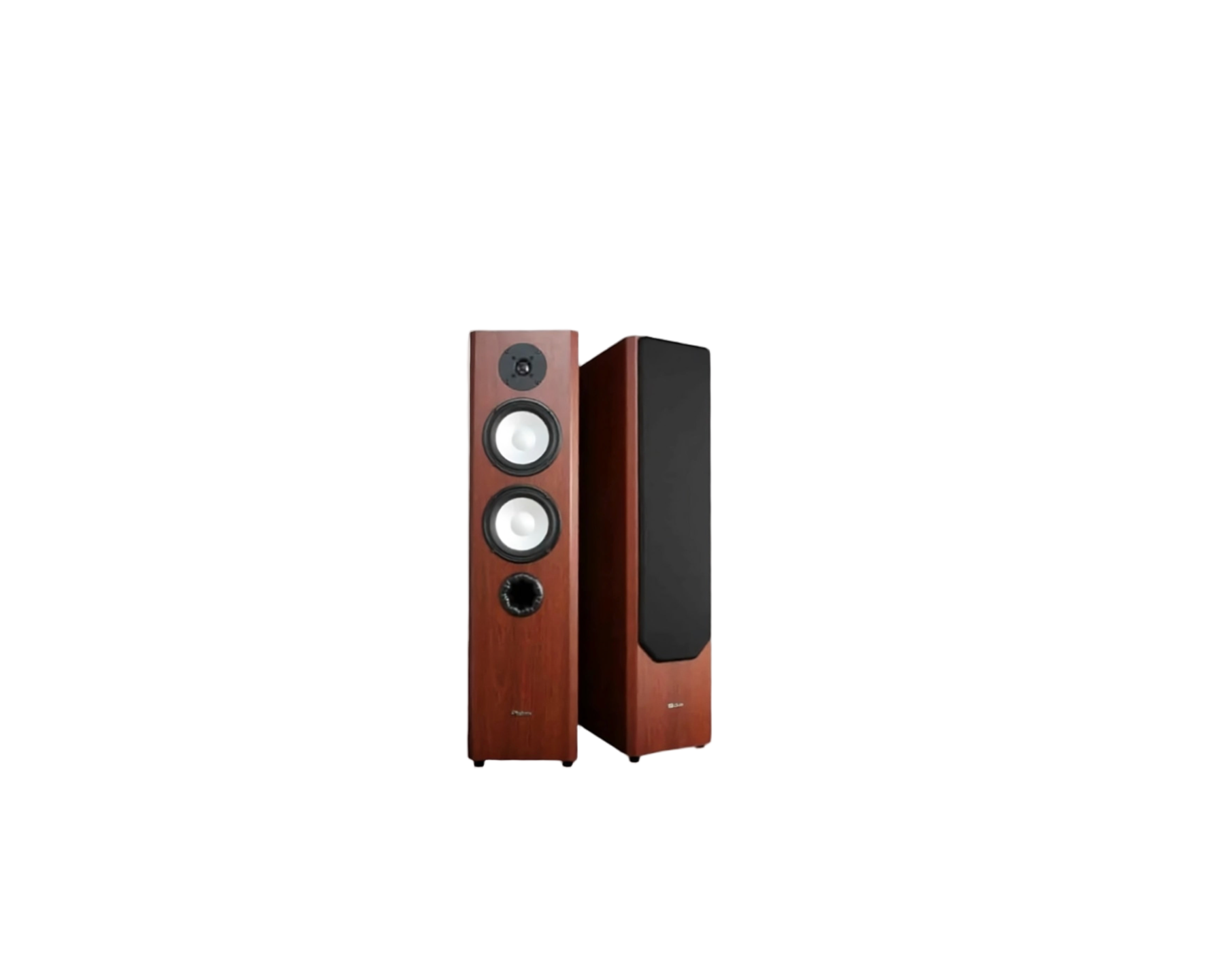 Axiom M50 Floor Standing Speaker