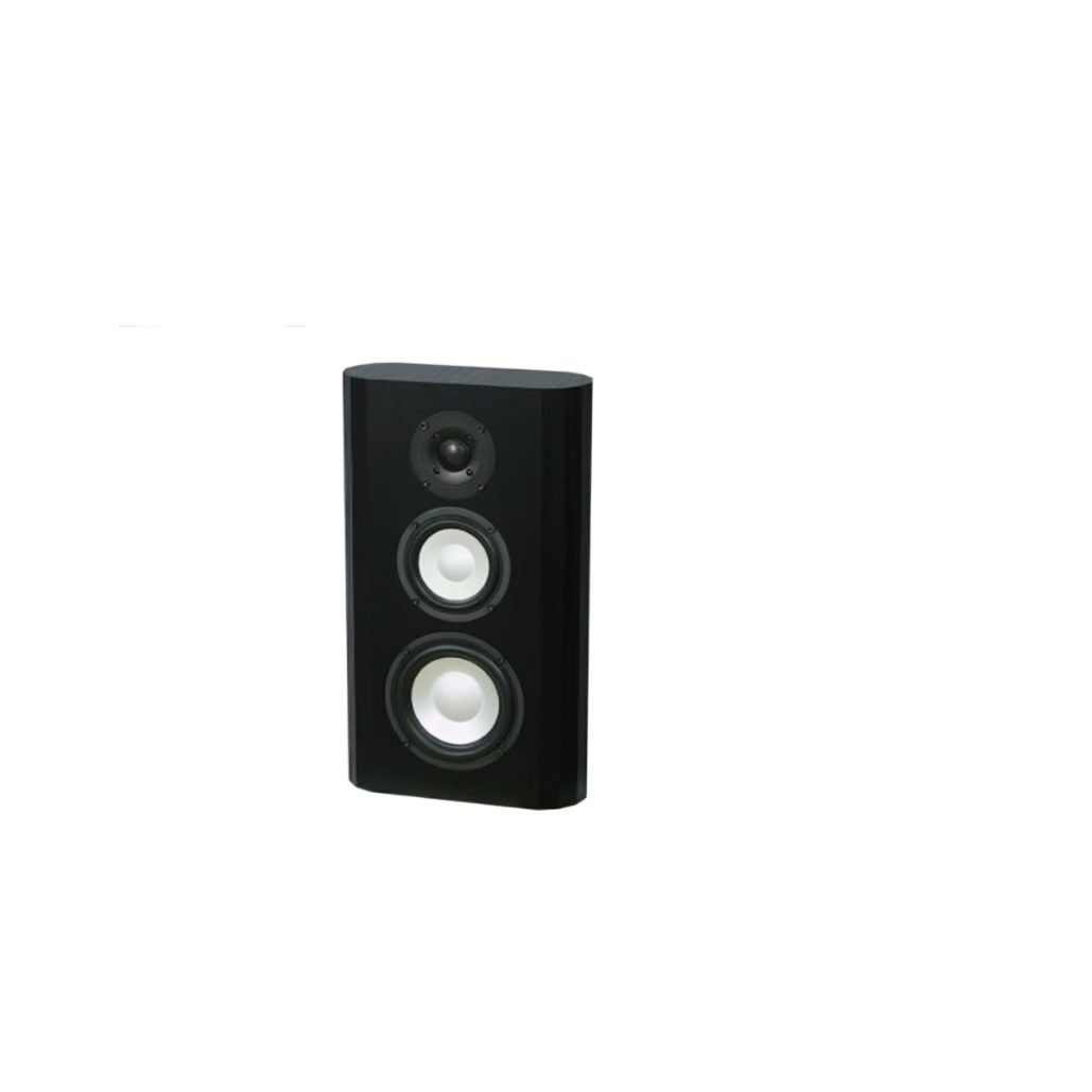Axiom M5HP On-Wall Speaker