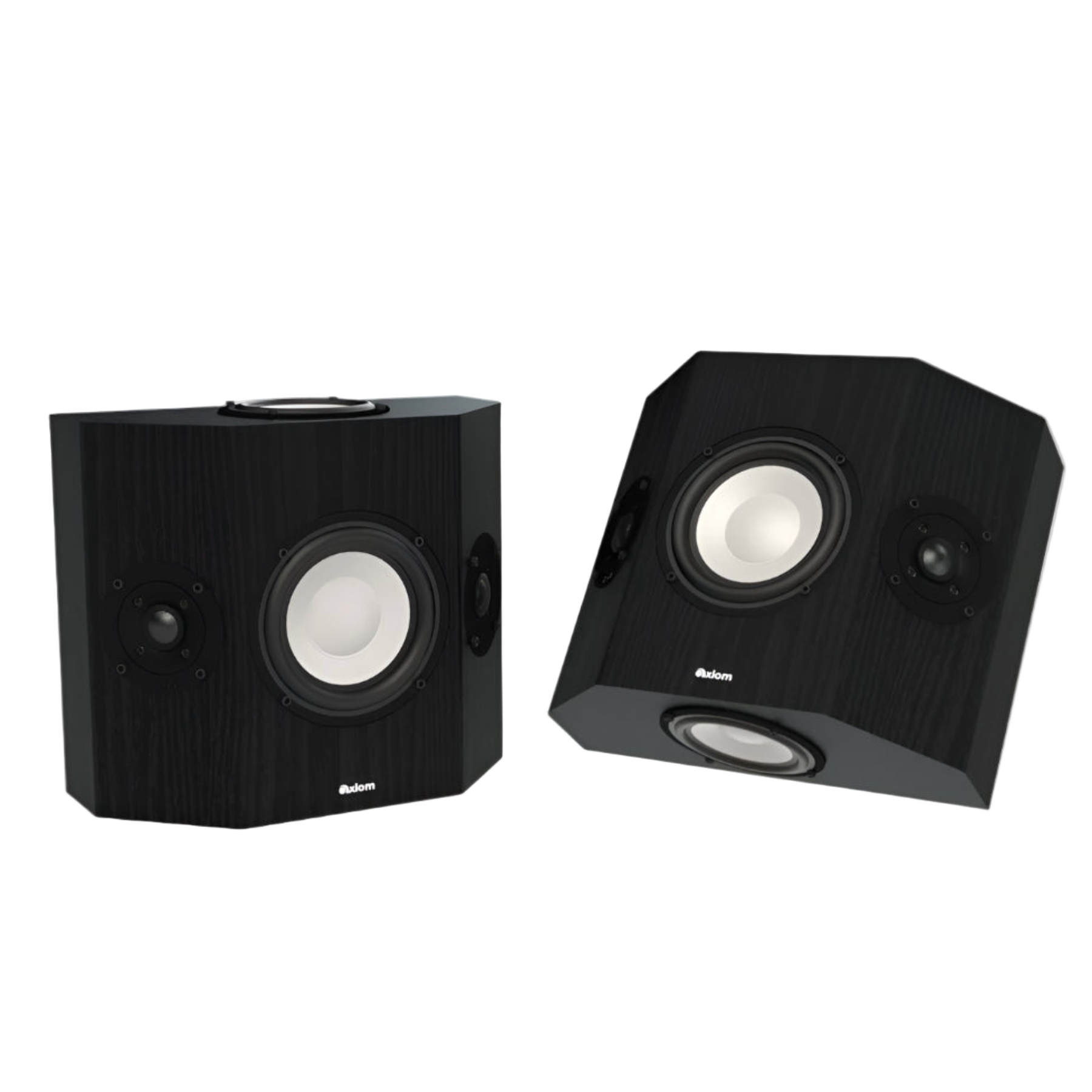 Axiom QS10 Surround Sound Speaker