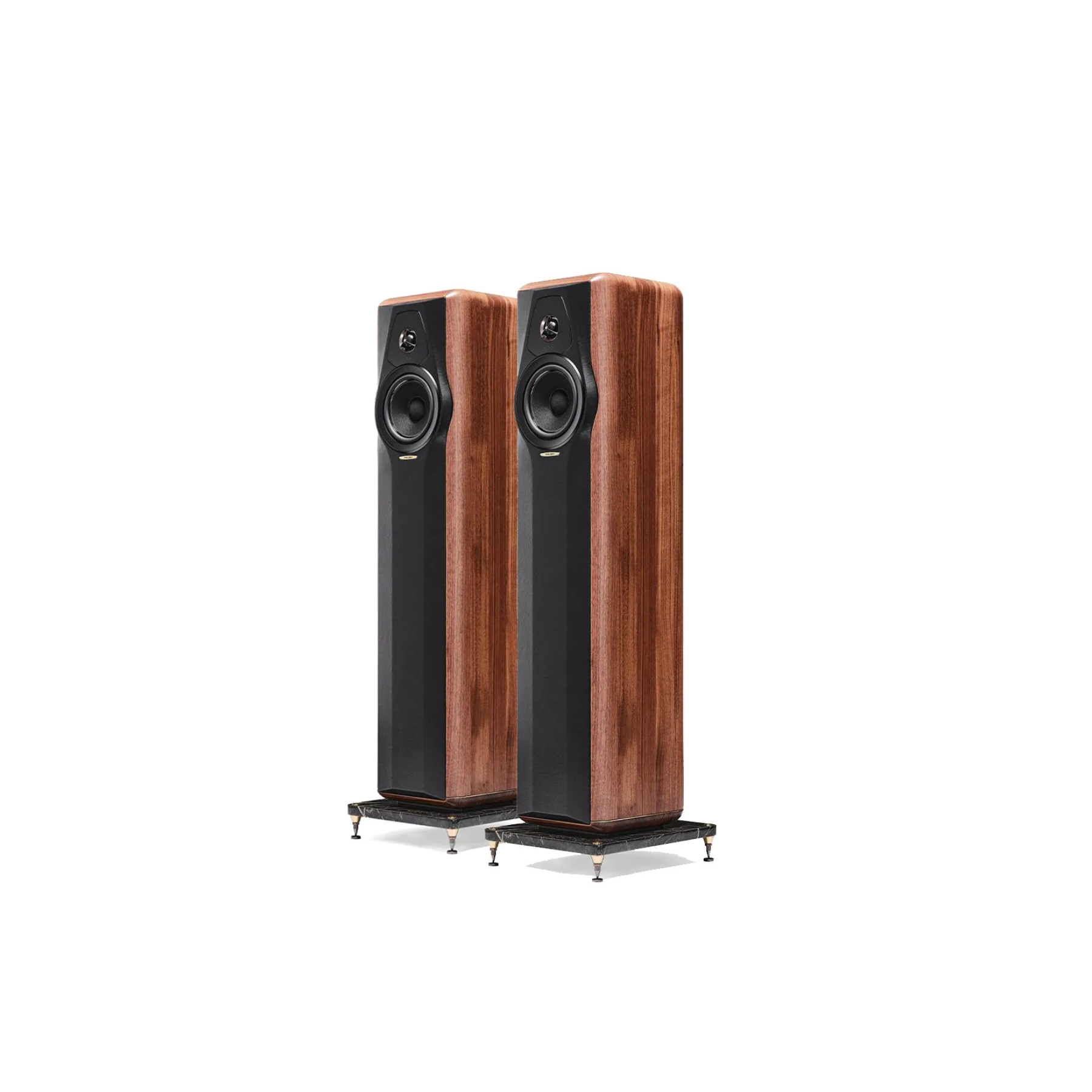 Sonus Faber Maxima Amator