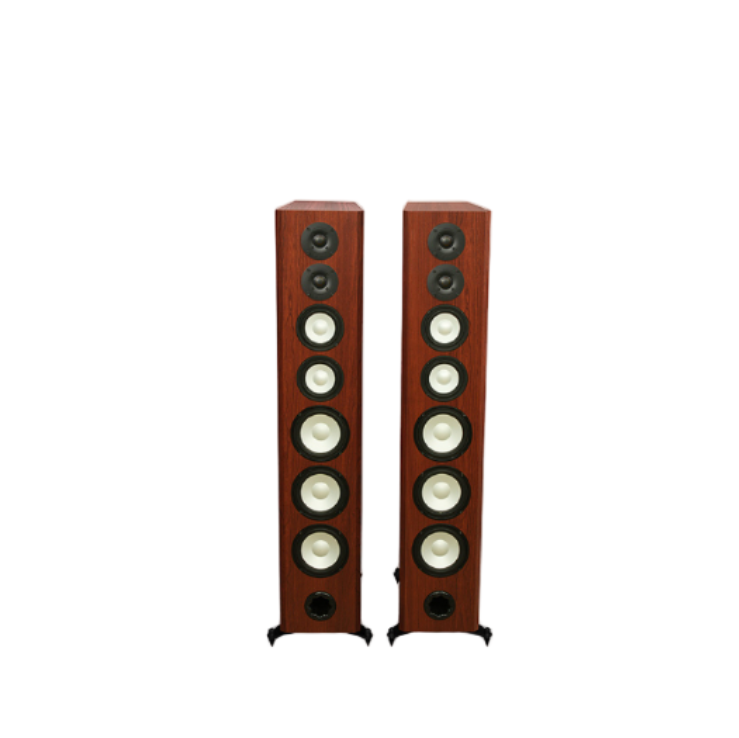 Axiom M100 Floorstanding Speakers