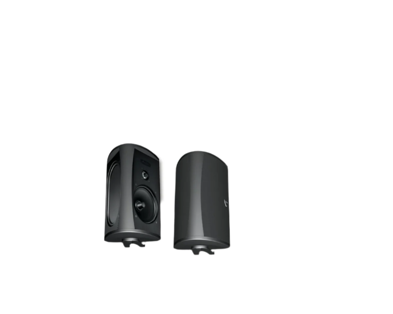 Definitive Technology Aw 5500 All-Weather Outdoor Loudspeaker